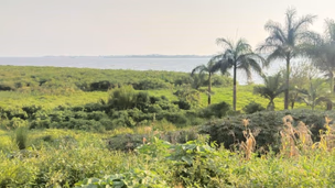 12 Properties | Pam Golding Properties Uganda