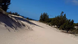 472 Properties | Pam Golding Properties Mozambique