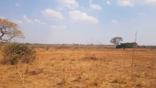 131 Properties | Pam Golding Properties Zambia
