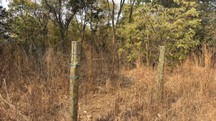 131 Properties | Pam Golding Properties Zambia