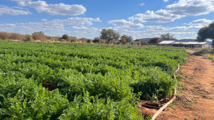 55 Residential Properties and Homes For Sale | Pam Golding Properties Botswana